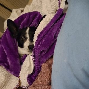 Meet your Posher, Catherine